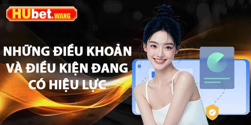 Điều Khoản Và Điều Kiện – Những Quy Định Pháp Lý Cần Biết 2 Chi tiết những điều khoản và điều kiện đang có hiệu lực